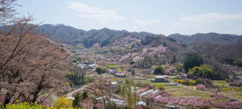 联盟宾馆(La Union)图片
