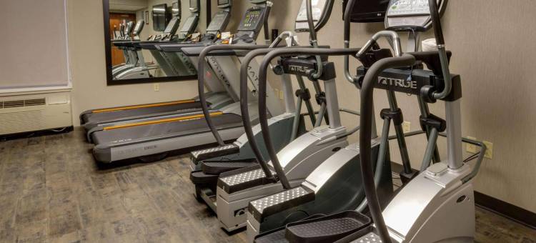 海蒂德鲁里套房酒店(Drury Inn & Suites Hayti Caruthersville)图片