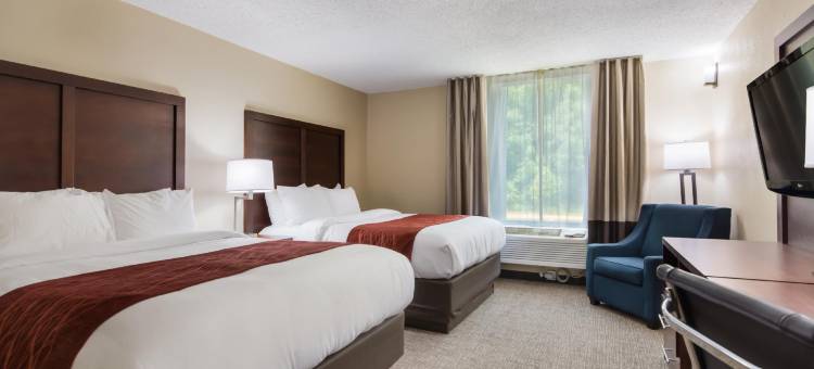 舒适酒店(Comfort Inn)图片