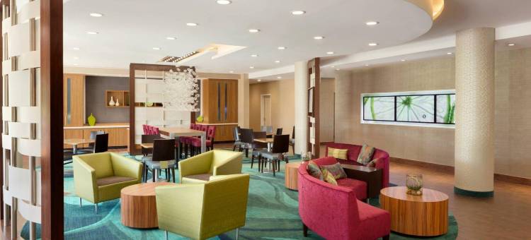 塔斯卡卢萨SpringHill套房酒店(SpringHill Suites Tuscaloosa)图片