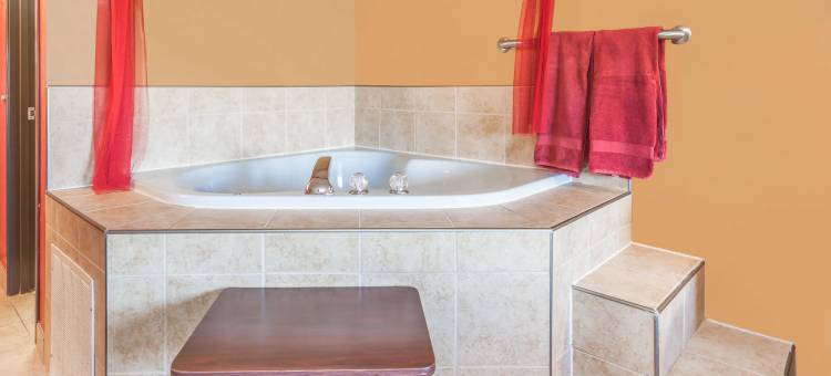 伊姆莱城温德姆速8酒店(Super 8 by Wyndham Imlay City)图片