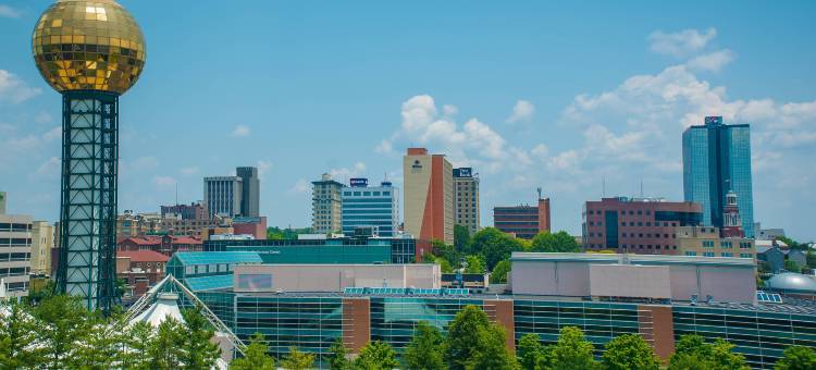 诺克斯维尔/东万枫酒店及套房(Fairfield Inn & Suites Knoxville/East)图片