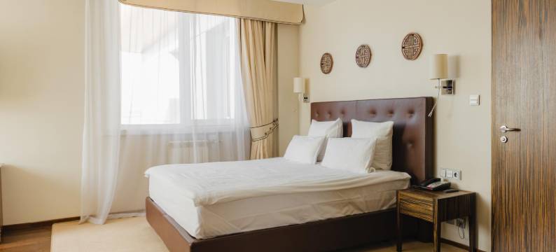 梅尔根巴托酒店(Cosmos Selection Ulan-Ude Hotel)图片