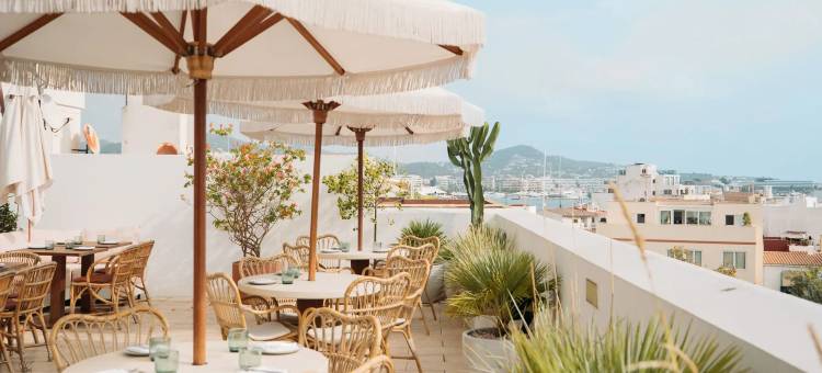 标准酒店，伊比萨(The Standard, Ibiza)图片