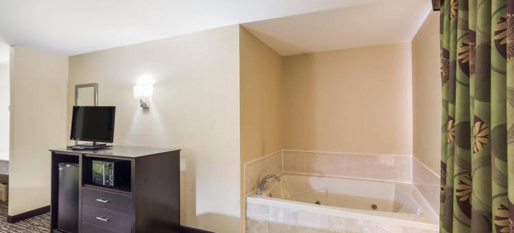圣路易斯凯西维尔凯艺套房酒店(Quality Inn & Suites Caseyville - St. Louis)图片