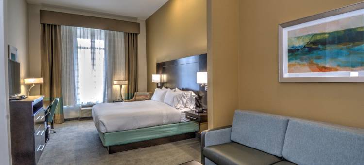 智选假日套房酒店甸南(Holiday Inn Express & Suites Austin South)图片