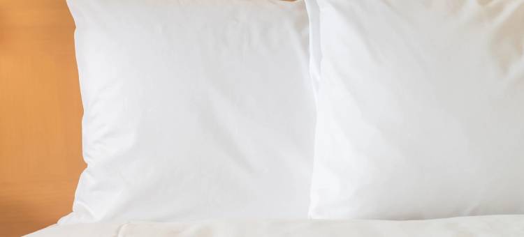 费城威洛格罗夫万豪SpringHill酒店(SpringHill Suites Philadelphia Willow Grove)图片