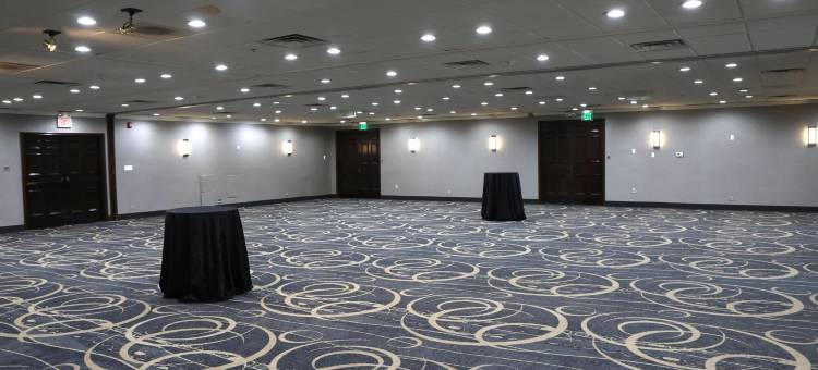 Holiday Inn 芝加哥OAKBROOK(Holiday Inn Chicago Oakbrook)图片