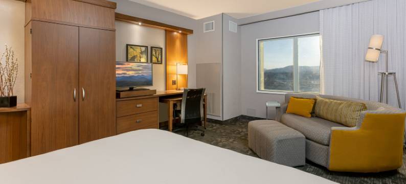 阿什维尔机场万怡酒店(Courtyard Asheville Airport)图片