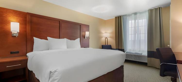 尤里斯舒适酒店客栈及套房(Comfort Inn & Suites Euless DFW West)图片