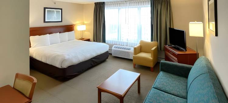 智能套房酒店-阿桑德连锁酒店(Smart Suites, Ascend Hotel Collection)图片