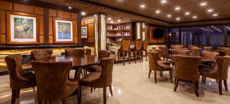 温德姆托伦酒店(Wyndham Torreon)图片