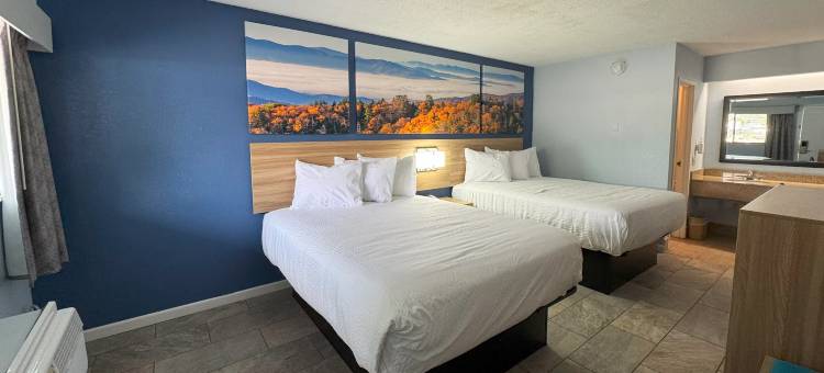 温德姆戴斯酒店夏洛特大学(Days Inn by Wyndham Charlotte University)图片