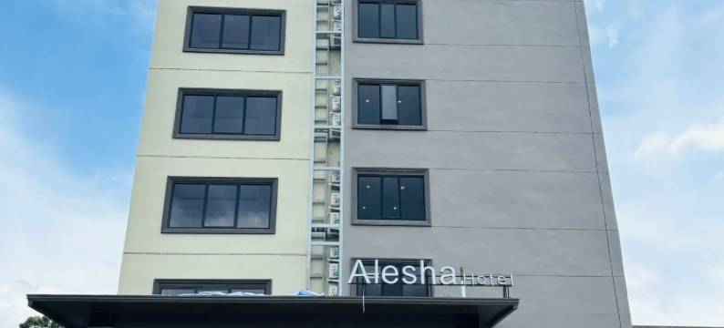 阿莱莎酒店(ALESHA HOTEL)图片