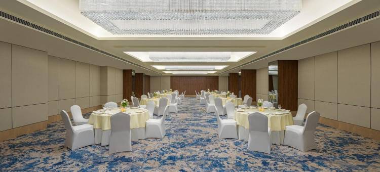 拉杰果德丽笙Park Inn酒店及套房(Park Inn And Suites By Radisson Rajkot)图片
