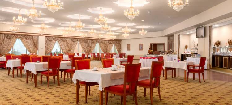 让斯温德姆华美达广场酒店(Ramada Plaza by Wyndham Gence)图片