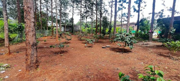 Casa Woods Resort @ Araku Valley图片