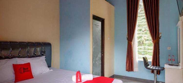 红多兹酒店@格邦迪恩高原地区(RedDoorz @ Gerbang Dieng Plateau Area)图片