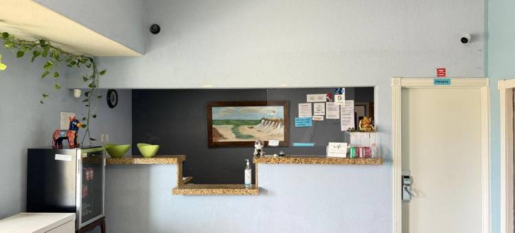 O比恩韦尼多皮索尔I-35酒店(Hotel O Bien Venido Pearsall I-35)图片