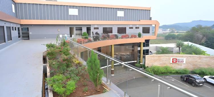 Mastiff Select Bidar图片