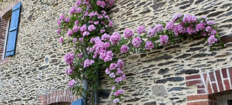 宅邸酒店(La Maison)图片