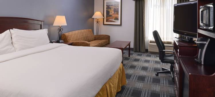 Holiday Inn Express 拉洪塔(Holiday Inn Express la Junta)图片