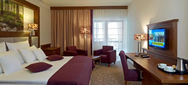 克雷尼察美居水疗度假酒店(Hotel Mercure Krynica Zdrój Resort&Spa)图片