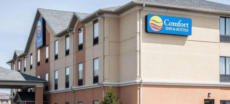 舒适套房酒店(Comfort Inn & Suites)图片