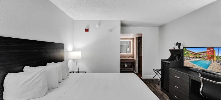 好莱坞市中心哈里森酒店(The Harrison Hotel Downtown Hollywood)图片