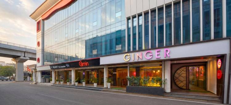 Ginger Jammu , Bari Bramhana图片