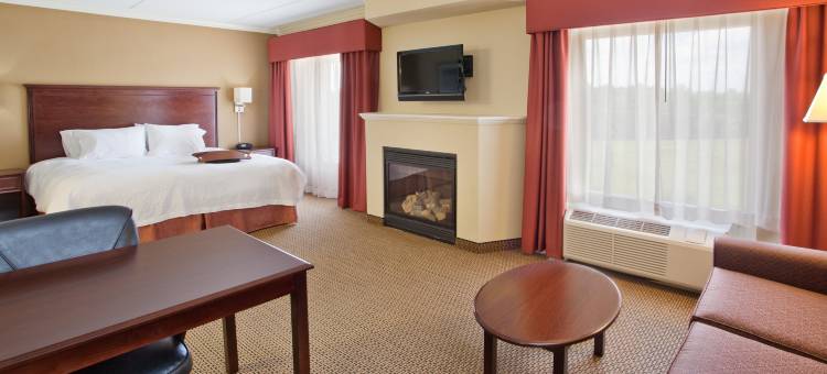 拉内特/西点欢朋酒店(Hampton Inn & Suites Lanett - West Point)图片
