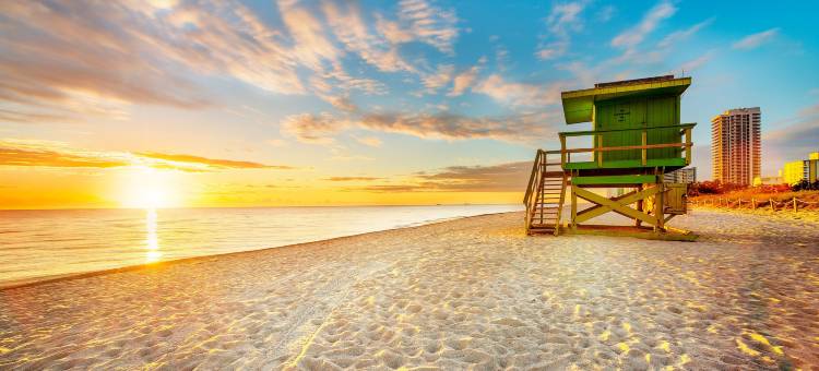 迈阿密机场南SpringHill Suites 酒店(SpringHill Suites by Marriott Miami Airport South Blue Lagoon Area)图片