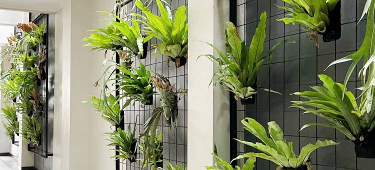 Mandapa Penthouse图片