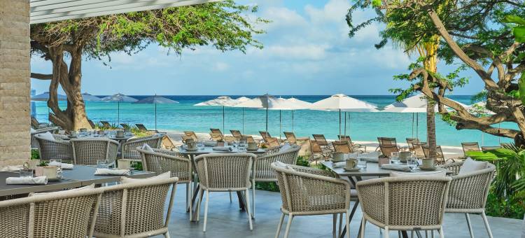 圣瑞吉阿鲁巴度假村(The St. Regis Aruba Resort)图片