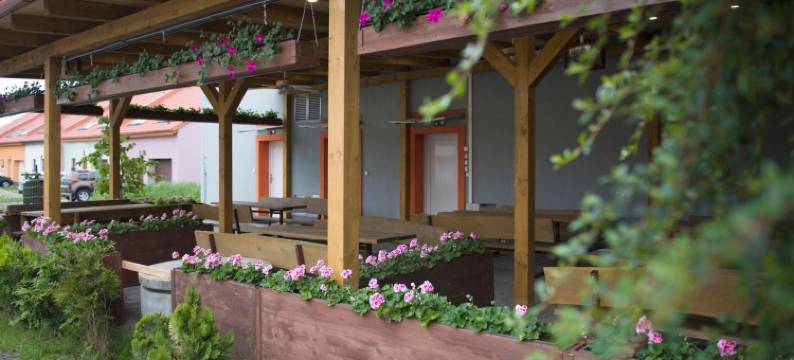 威瑞塔兹旅馆(Penzion Veritas)图片