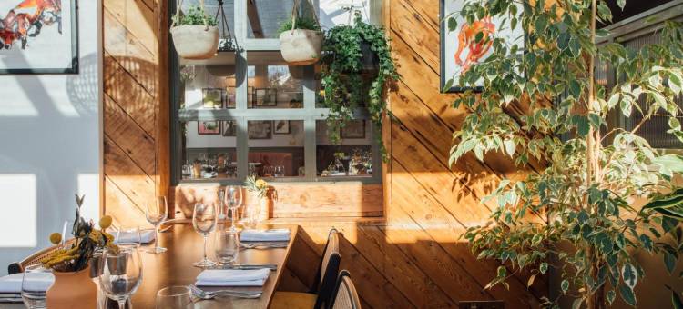 威廉的狐狸(The Fox at Willian)图片