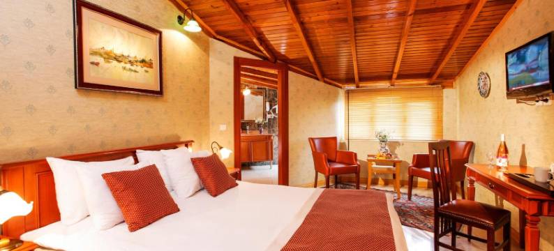 犹大树酒店(Hotel Erguvan - Special Category)图片