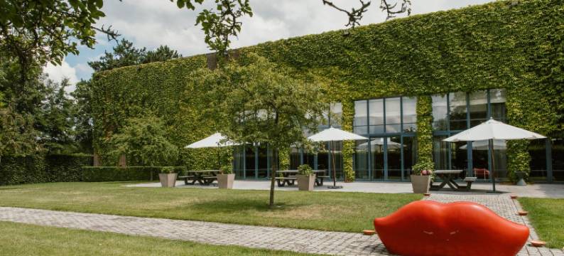 赛维尔酒店(Serwir Hotel)图片