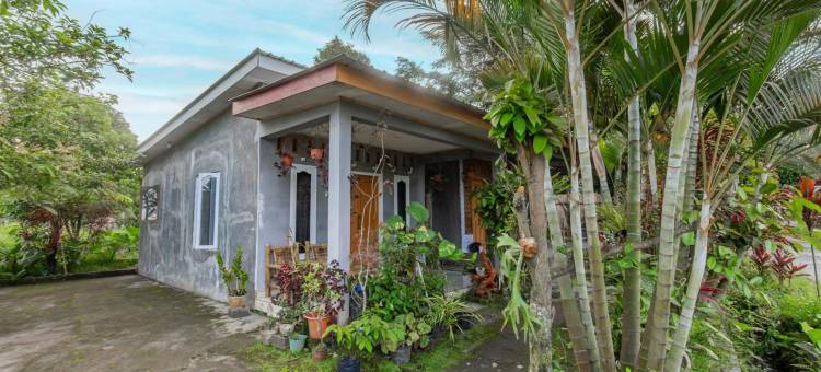 O乐斯塔里民宿(Hotel O Lestari Homestay)图片