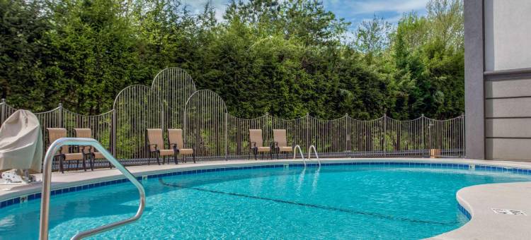 阿什维尔东-蓝岭山行车通道舒适酒店(Comfort Inn Asheville East-Blue Ridge Pkwy Access)图片