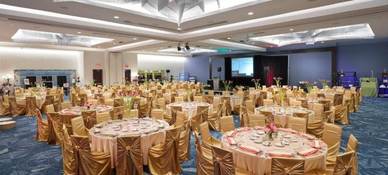 埃德蒙顿机场万丽酒店(Renaissance Edmonton Airport Hotel)图片