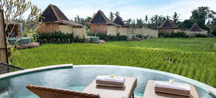 乌布 DITUJU(DITUJU Ubud by GenuineHost)图片