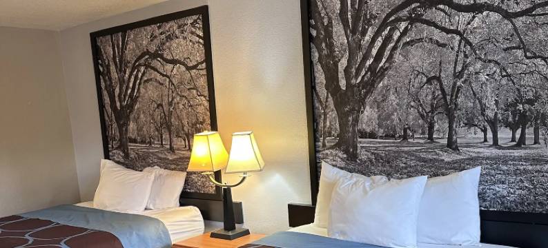 温德姆华东速 8 酒店(Super 8 by Wyndham Vancouver East)图片