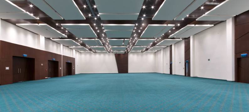 韦拉克鲁斯-博卡德尔里奥假日酒店(Holiday Inn VERACRUZ BOCA DEL RIO by IHG)图片