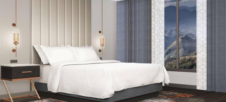 希尔顿大使套房鸽子谷度假村(Embassy Suites by Hilton Pigeon Forge Resort)图片