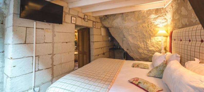 维尼奥拉住所酒店(Logis Demeure de la Vignole)图片