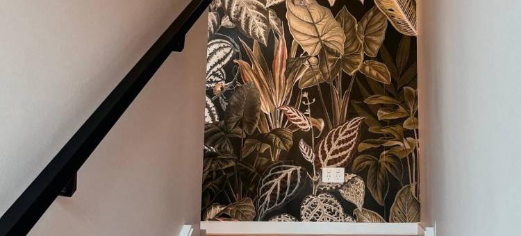 布拉登Green Rooms - 设计师微型公寓(Green Rooms Braddon - Designer Micro Apartments)图片