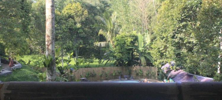 灵空公园Tetebatu(Lingkung Park Tetebatu)图片