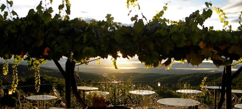 奥博尔格德拉布里森之旅酒店(Auberge de la Tour de Brison)图片