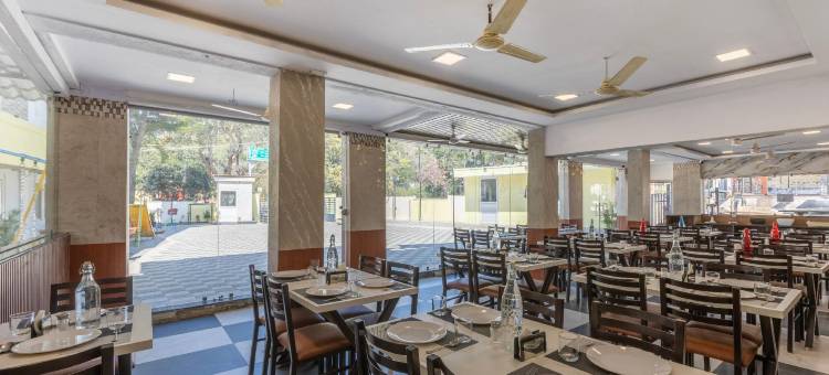 翡翠鸽(Treebo Premium Emerald Dove)图片